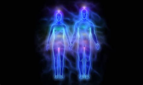 Chakra System In Male And Females Tantra Nectar