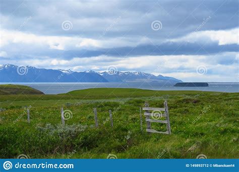 Icelandic Landscape Green Fields Fjords Sea And Mountains Iceland