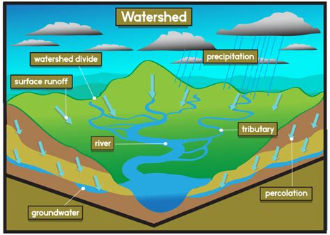 Section 2 Fresh Water Nitty Gritty Science