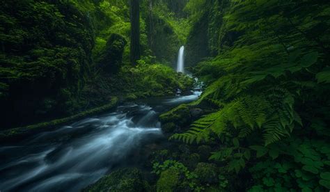 A Dark And Rainy Day In Oregons Columbia River Gorge Oc 1194x2048