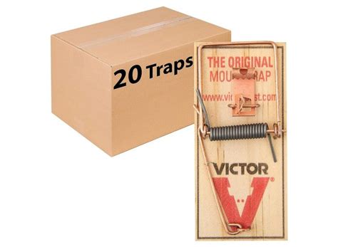 The Best Mouse Trap Of 2024 22 Words Reviews