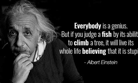 Top 30 Most Inspiring Albert Einstein Quotes Healthylifeboxx