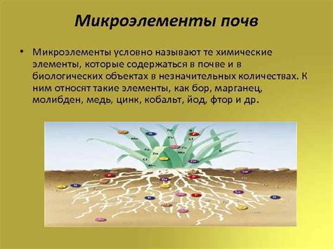Макроэлементы и микроэлементы почв План 1 2