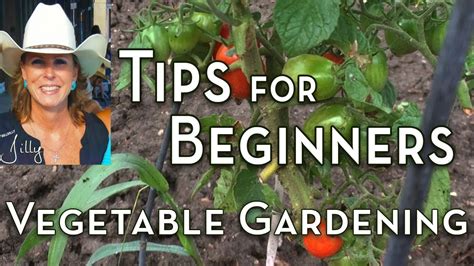 Vegetable Gardening Tips For Beginners Gardening Chronicle