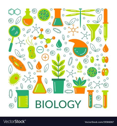 A Set Scientific Biological Icons Royalty Free Vector Image