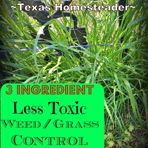 Time to debunk this myth once and for all. 3 Simple Ingredients for Less Toxic Weed Control