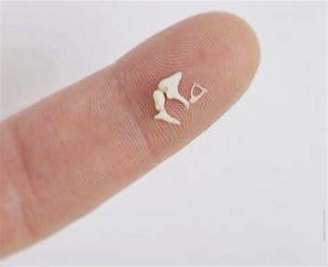 The inner ear (internal ear, auris interna) is the innermost part of the vertebrate ear. They are called the ossicles.They are three bones in ...