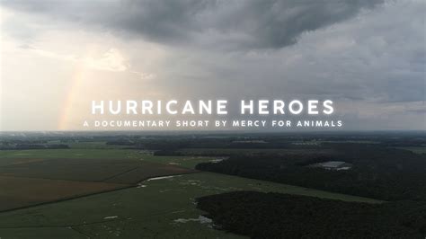 Hurricane Heroes Youtube