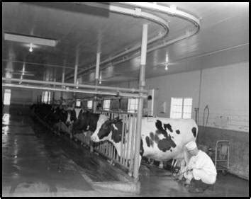 We did not find results for: Kemahiran Hidup: PENGELUARAN SUSU LEMBU TENUSU