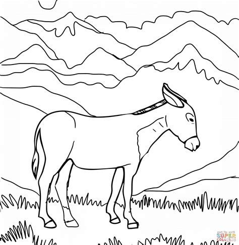 Dibujos de mulas para colorear. Imagen De Una Mula Para Colorear