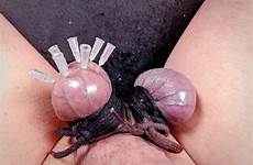 needles testicle skewering cbt