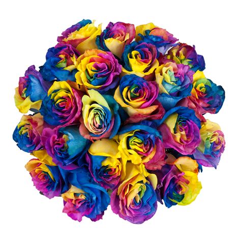 Rainbow Tinted Roses Premium Wholesale Flowers Free Shipping