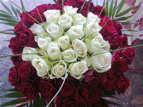 Buchet Flori Trandafiri 10 Floraria Prima Donna Bacau