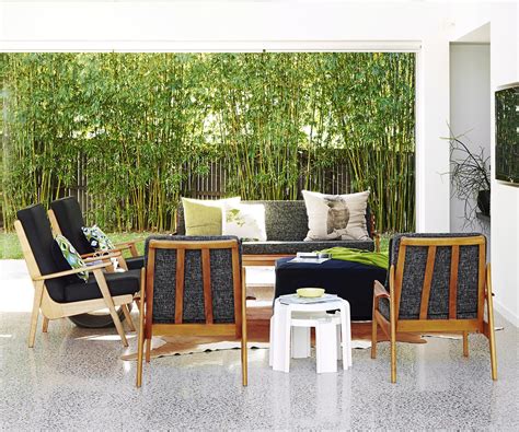 Privacy screening trees are a great way to provide living screen. Top 5 screening plants for your garden | Screen plants ...