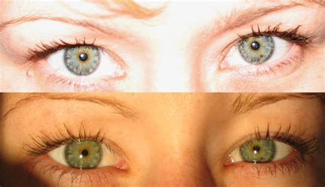 eye colour psychology wiki fandom powered by wikia