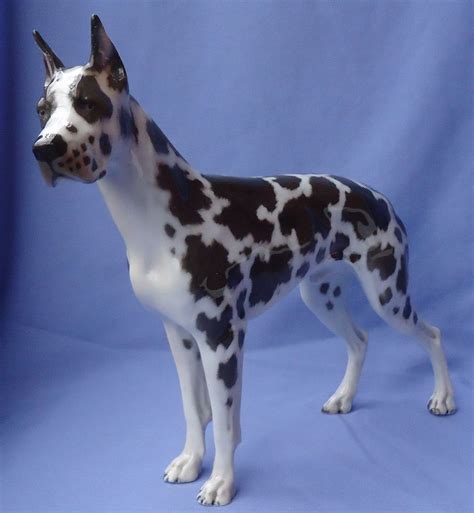 More images for harlequin 8 week old great dane » 1930 Rosenthal Harlequin Great Dane 12" from ...