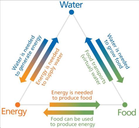 The Water Food Energy Nexus 29 Download Scientific Diagram
