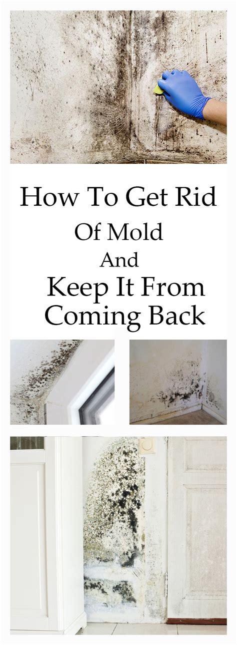 Unlike other mold killers which contain harsh chemicals, baking soda is mild. How To Get Rid Of Mold And Keep It From Coming Back | Get ...