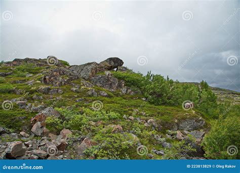 Rocky Tundra Of The Kola Peninsula Murmansk Region Of Russia Stock