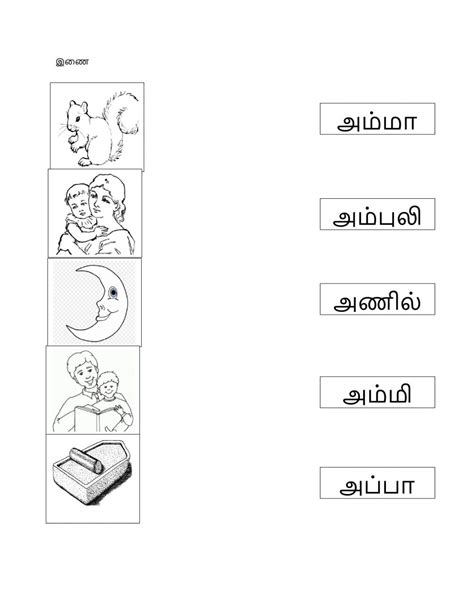 Tamil Worksheets Worksheet In 2021 Worksheets Learning Worksheets 24