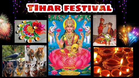 Tihar Festival The Story Of Tihar Festival Of Lights Youtube