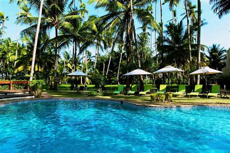 In são tomé e príncipe, exotic birds inhabit tropical jungles on what is one of africa's smallest countries. Viagens Lowcost para São Tomé e Príncipe | Destinations Flights - Cheap Flights and low cost hotels