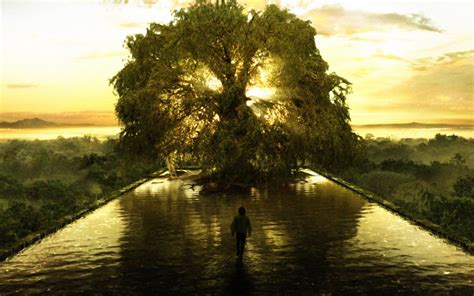 Free Download The Tree Of Life Hd 1600x1200 Wallpapers 1600x1200