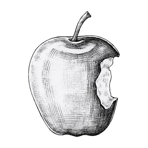 Apple Drawing And Sketches For Kids Kids Art And Craft
