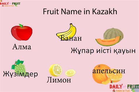 Fruit Name In Kazakh