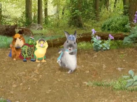 Ollie Gets Into Trouble Wonder Pets Pets Animals
