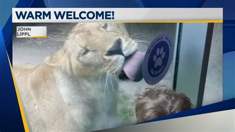 Oregon Zoo Welcomes Back First Guests Set To Reopen To The General