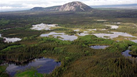 Обои Бореальные леса Канады Канада лес Нефтяные пески Атабаски