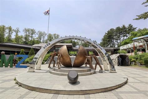 The Best Dmz Tour From Seoul To Go On