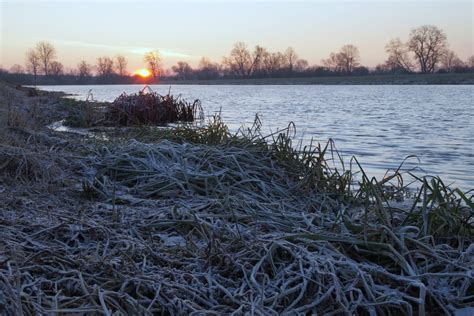 Szadź na drzewie w centrum stalowej woli. Darmowe Zdjęcia : drzewo, samotny, zimowy, horyzont, śnieg ...