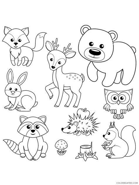 Colouring Pages Forest Animals Colorings Printable