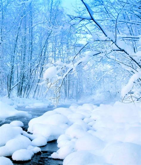 Nice Winter Moment By Kariliimatainen Winter Scenery Amazing Nature
