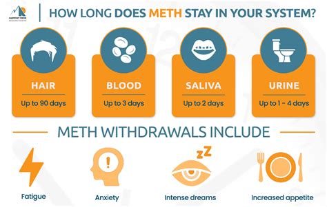 How Long Does Meth Stay In Your System Harmony Ridge Recovery