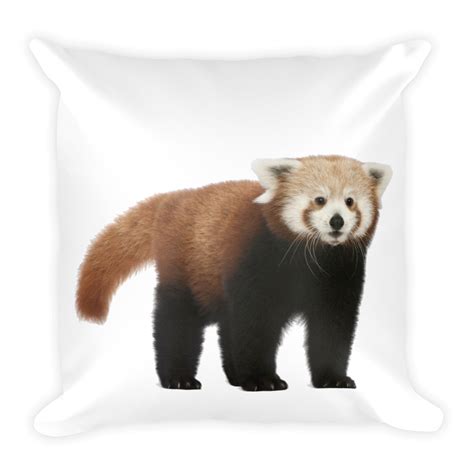 High quality panda emoji inspired pillows & cushions by independent artists and designers from around the world.all orders are custom made and most ship worldwide within 24 hours. Red-Panda- Print Square Pillow | Panda print, Red panda, Square pillow