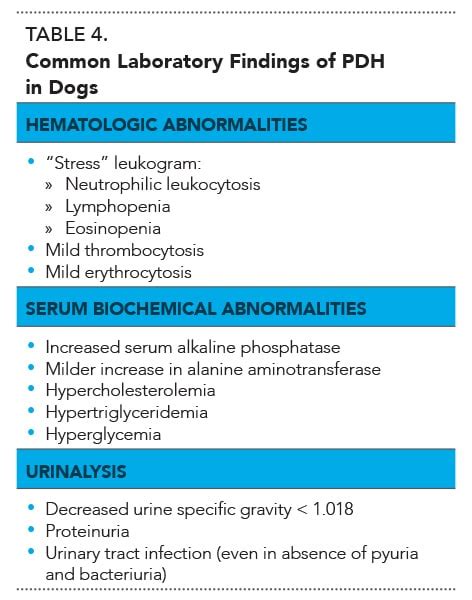 Cushings Disease In Dogs Diagnosis Clinical Signs And More