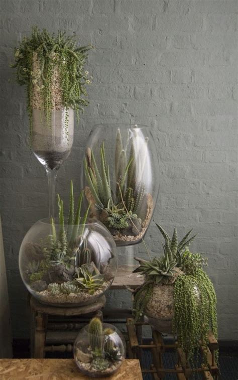 Not sure how to grow a succulent terrarium? plante cactus terrarium