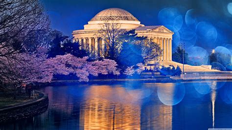 Thomas Jefferson Memorial Cherry Blossom Ultra Hd Desktop Background