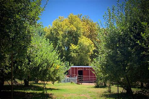 Jul 29, 2021 · the assessor's office is responsible for the maintenance of records on the ownership of properties. Willowbrook Apple Farm - Oak Glen, CA | Coachella Valley ...