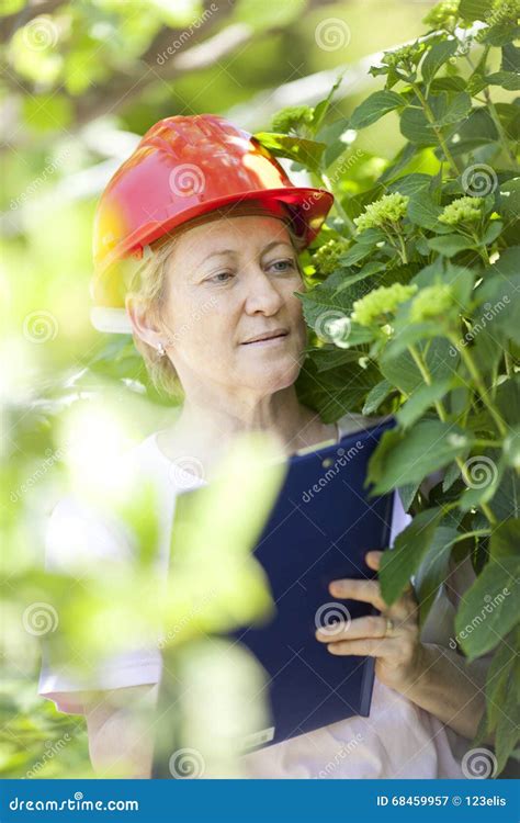 Agricultural Engineer Woman Stock Image Image Of Adult Gardening 68459957