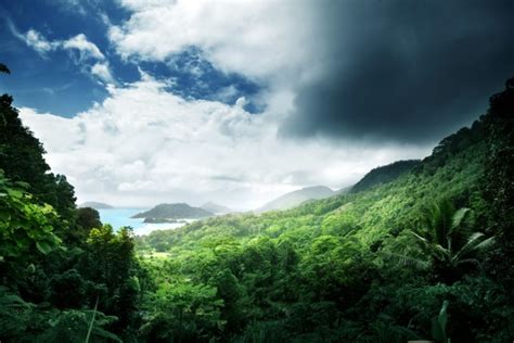 Tropics Scenery Forests Clouds Jungle Nature Wallpapers Hd