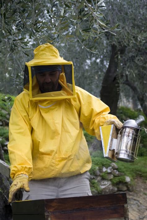 We put our 18 years of exterminator experience to work dealing with earwig, flea, housefly, cockroach, and other insect problems, both inside and outside of. Bee Removal Bergen County NJ - Precise Termite & Pest Control