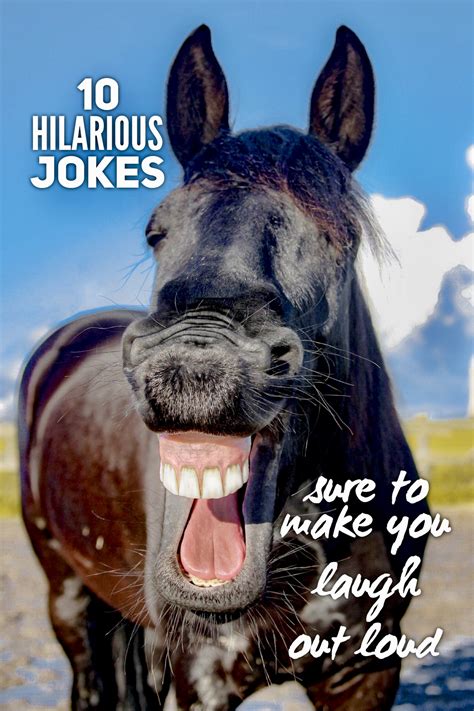 10 hilarious jokes sure to make you laugh out loud - Roy Sutton