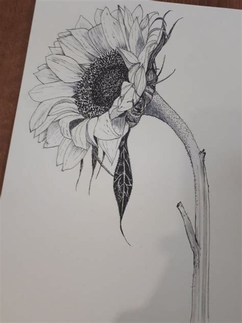 See more ideas about sketches, drawings, pencil sketch. 35 Easy Pencil Drawings Of Flowers For Inspiration - Buzz Hippy