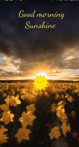 For all those who have too much sleep and are already tired just wake, we dedicate this funny picture of goodmorning! Good Morning Sunshine GIF - GoodMorningSunshine ...