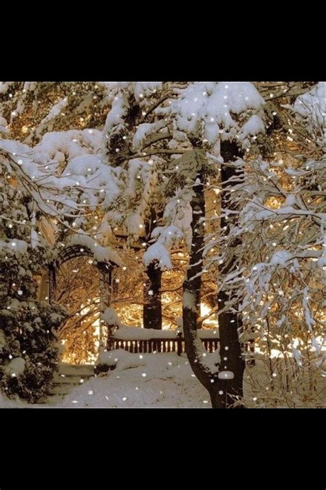 Magical Winter Winter Pictures Winter Scenery Winter Scenes