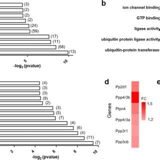 Gene Ontology Go Annotation Of The Differentially Expressed Genes